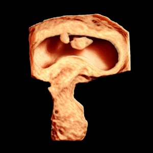 Viability Scan